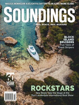 cover image of Soundings